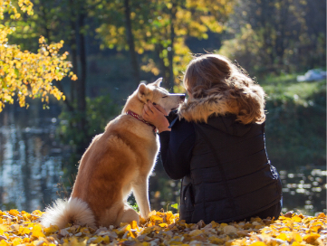 Picture of a woman caressing her dogs face sitting at the side of a lake with yellow leaves on the ground. 