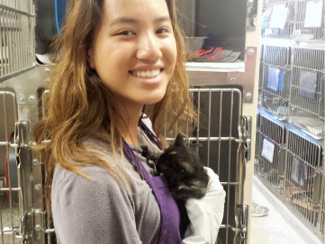 Woman holding a kitten in and animal shelter. 