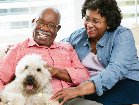 Older African American  man and woman sitting on sofa with their white large dog. 